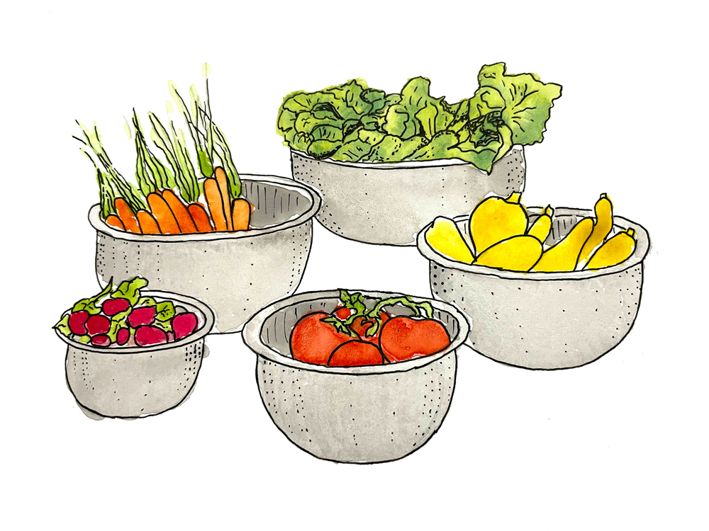 Food illustration of vegetable bowls by Javi Sola