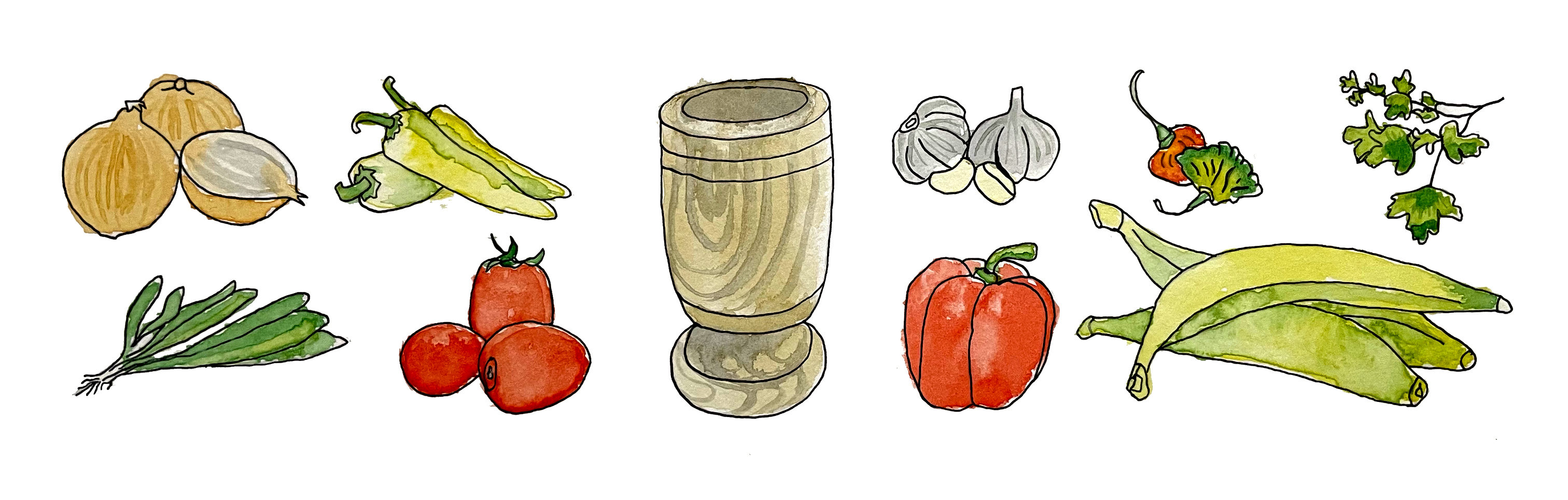 Food illustration of fresh cooking ingredients by Javi Sola